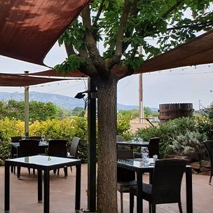 Événements - Ferme Auberge Terre De Mistral - Auberge Rousset - top resto ROUSSET