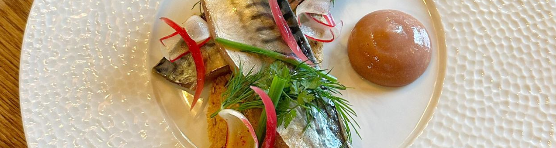 restaurant 1 - Restaurant Terre De Mistral - restaurant ROUSSET