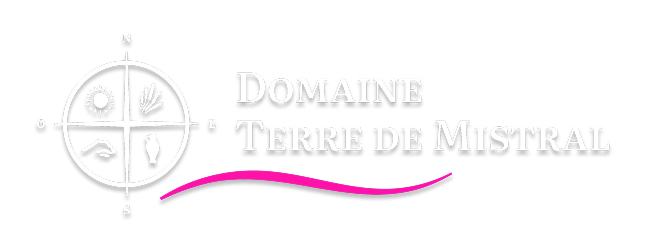 Restaurant Terre de Mistral - Restaurant Rousset